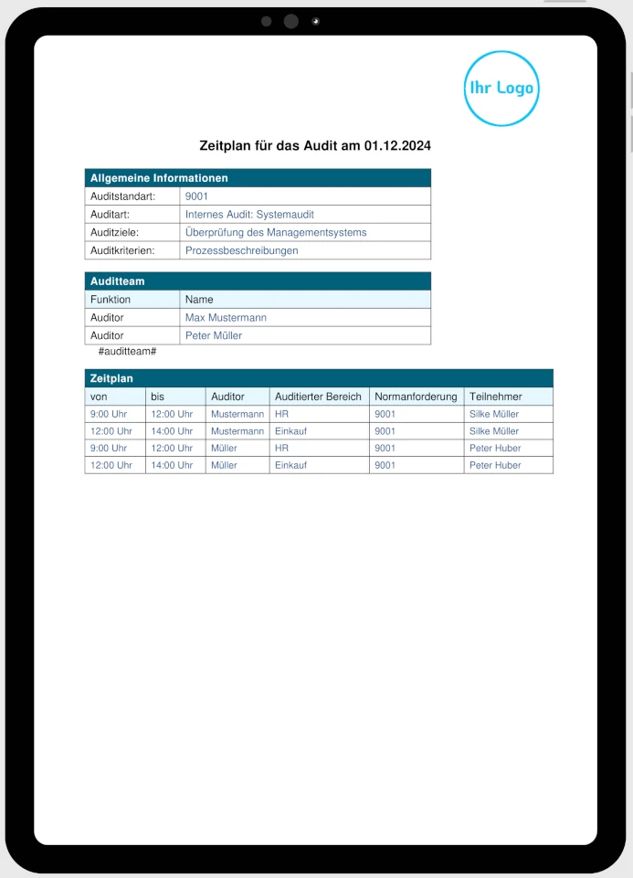 audit_zeitplan-vorlage Audit Vorlage